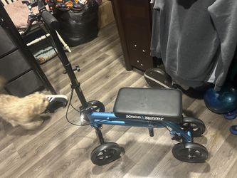 Rover Knee Scooter