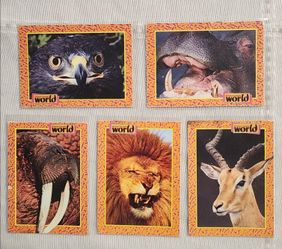 National Geographic World Animal Cards 1980