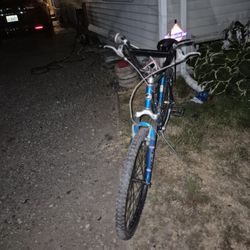 Giant Mountain Bike