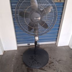 Fan