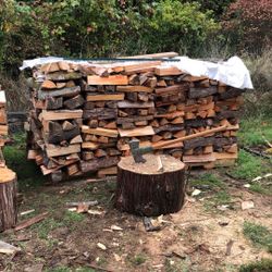 Doug Fir  And Cherry 