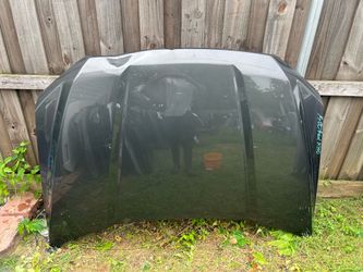 2015-21 FORD F150 HOOD OEM