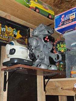 ROBOTS both for $45