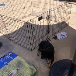 Dog Play Pen 