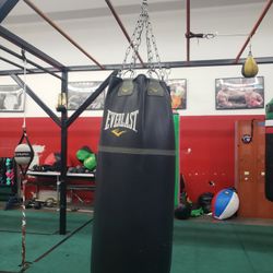 Punching Bag 