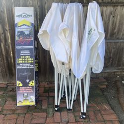 10' x 10' Commercial Canopy