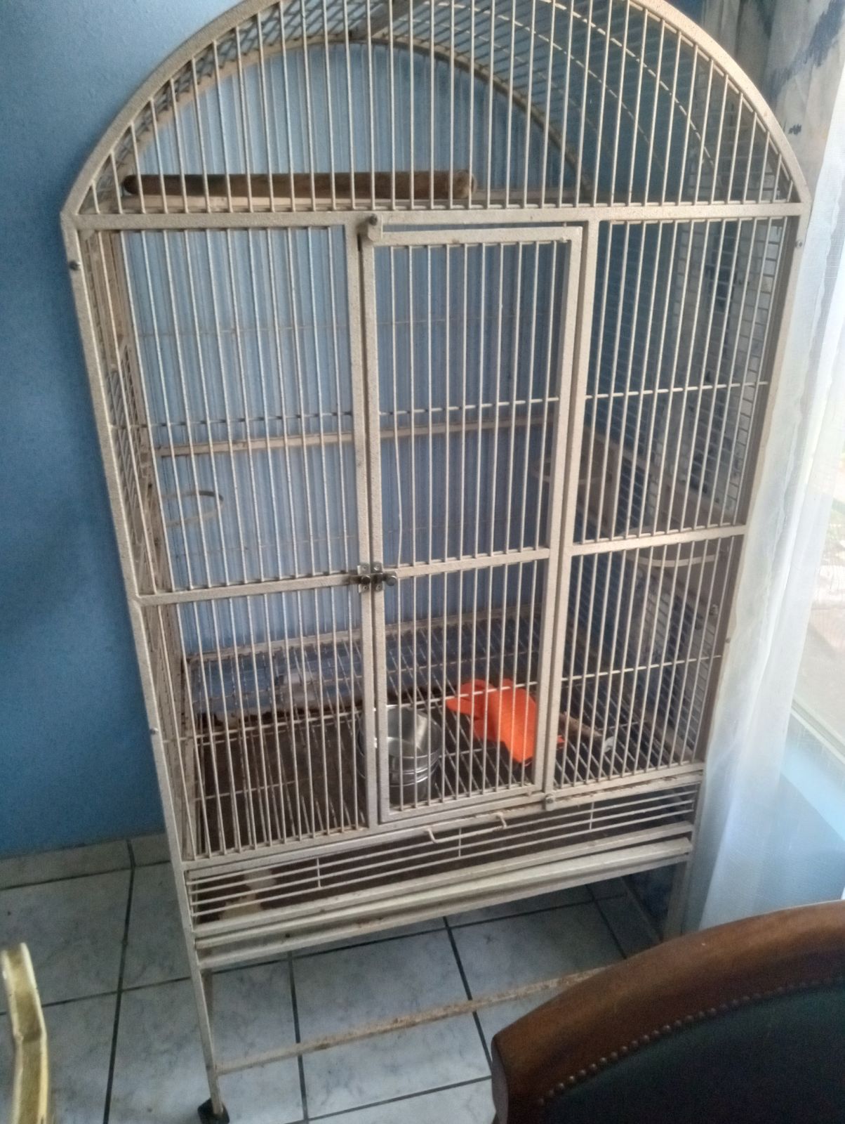 Bird Cage / Jaula Para Pajaros 