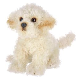 Doodles The Labradoodle