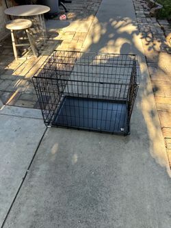 Vendo jaula para más cotas mide 21  altura 21 largo y 19 ancho en buenas condiciones