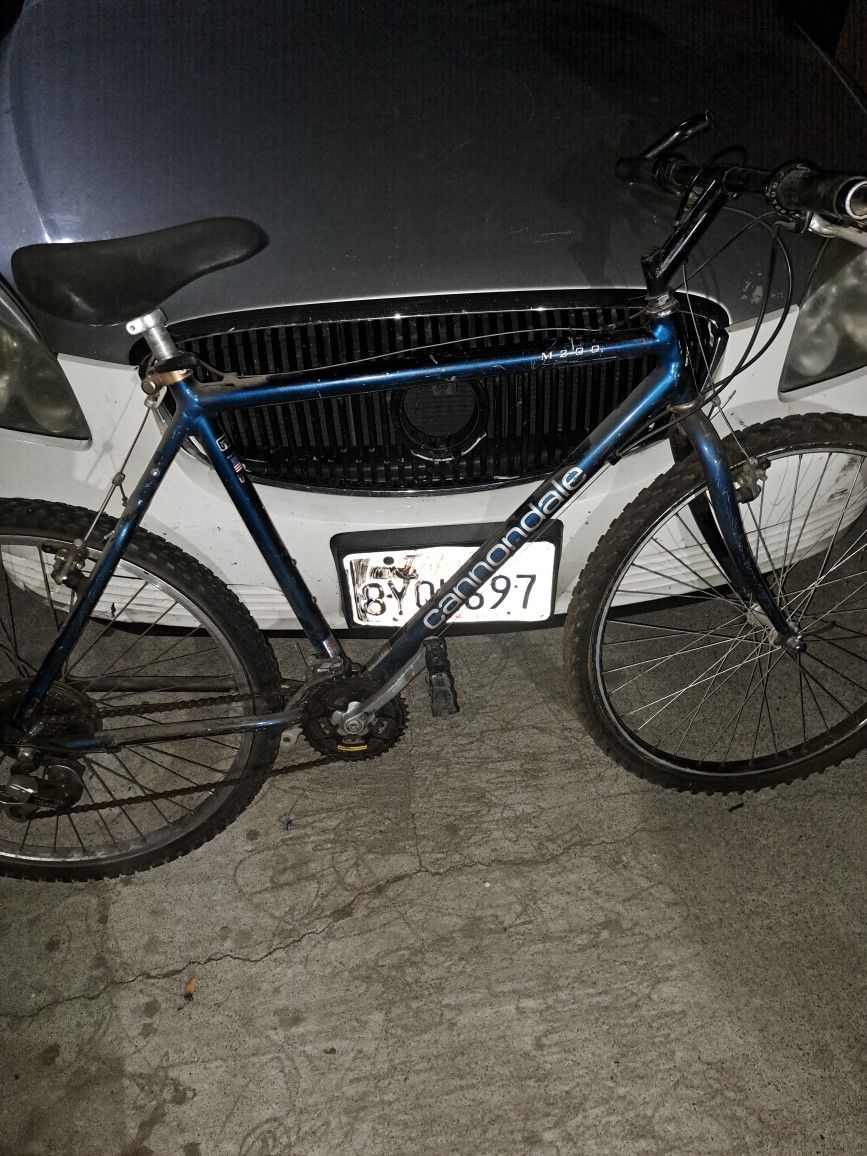 Cannondale M200