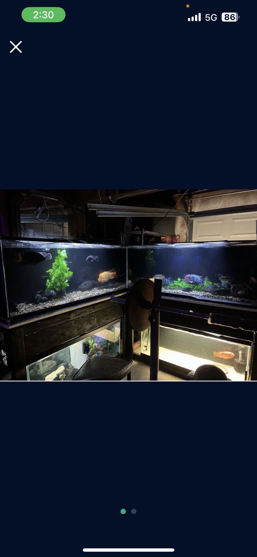 Fish Tank Aquarium