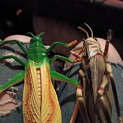 Insects Hard Plastic Colorful With Lots Of Detail About 6 In Long