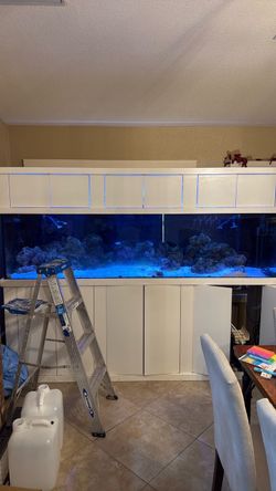 300 gallon aquarium