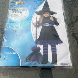 Kids Sz 3T-4T Shredded Witch 
