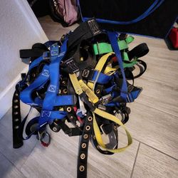 Harness And Lanyards 
