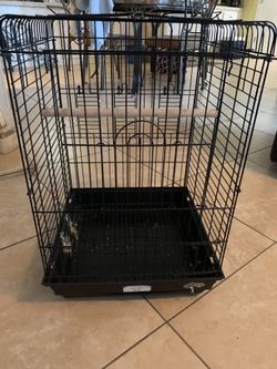 Bird Cage