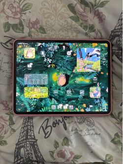 iPad Pro M5