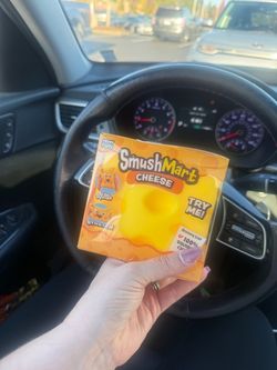 Jumbo Cheese Squishy