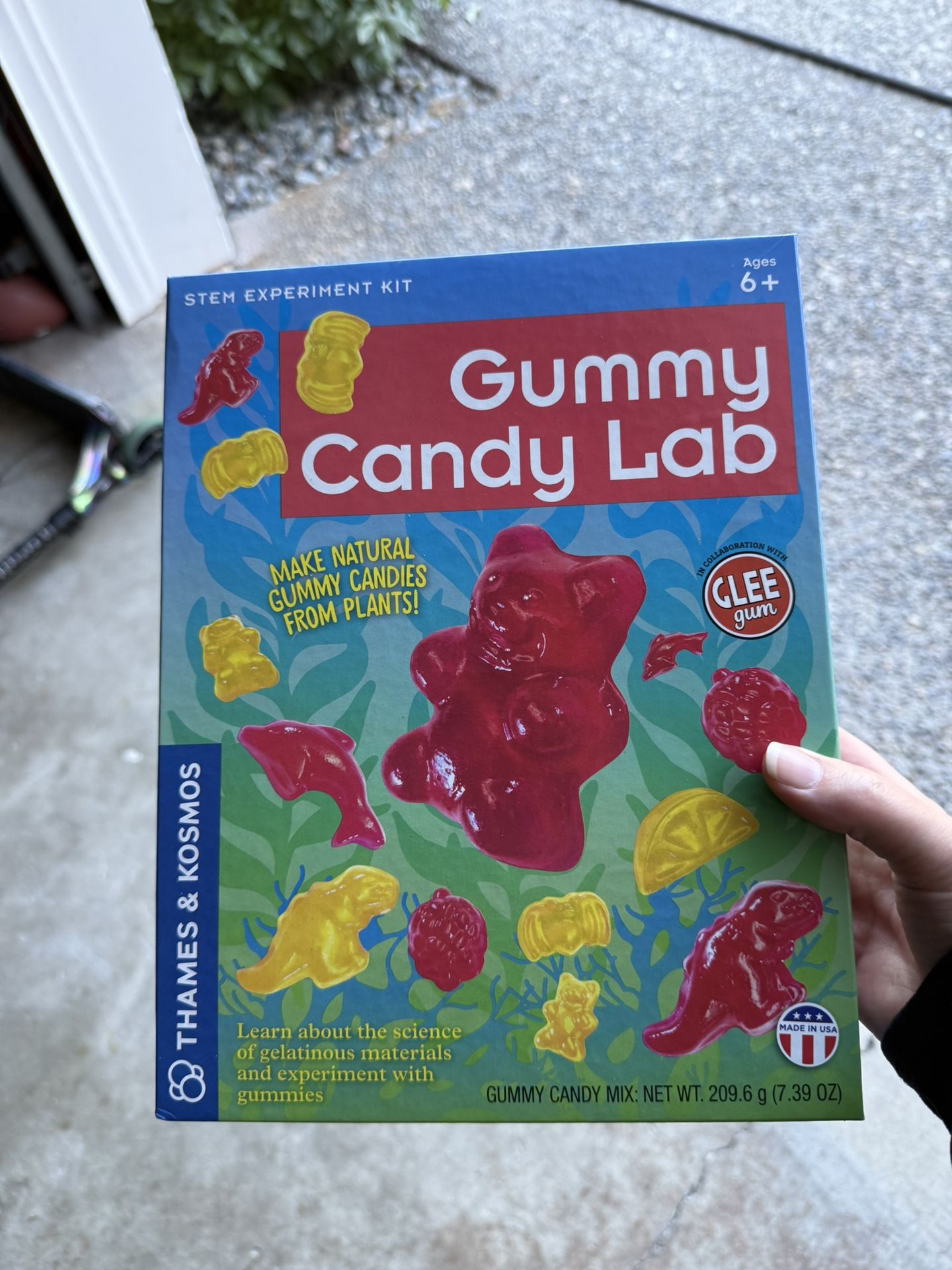 Gummy Candy Lab