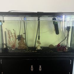Large fish tank with