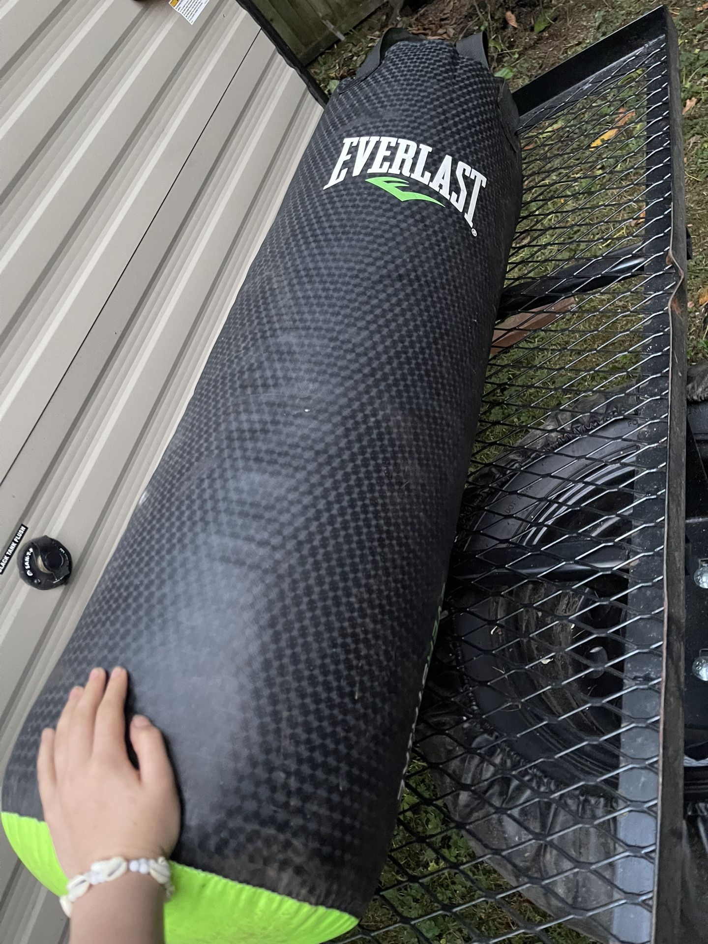 everlast punching bag
