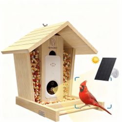 Hummingbird Feeder With Camera: