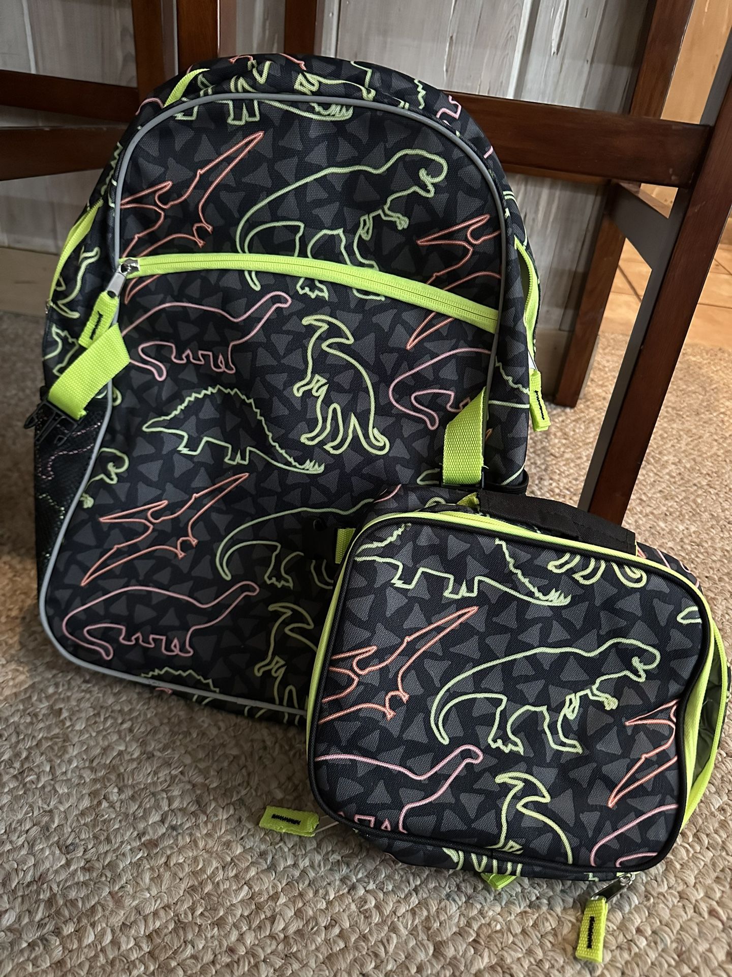Dinosaur Book bag/lunch Bag