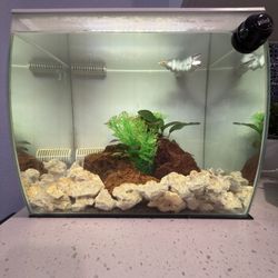 Fluval Flex 10gls  With CO2 System