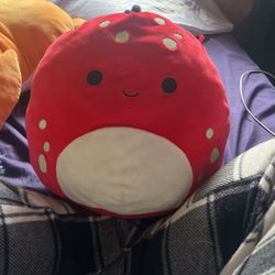 Squishmallow
