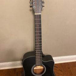 Fesley 12 String Guitar
