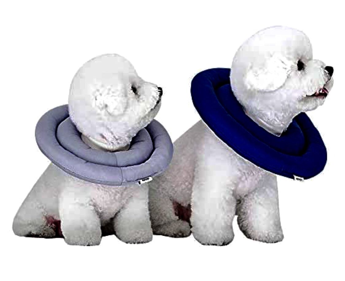 Dog/Cat Recovery Collar -  Small