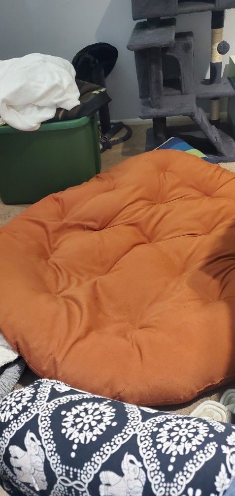 Big Dog Cushion