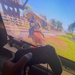 Ps4 Controllers