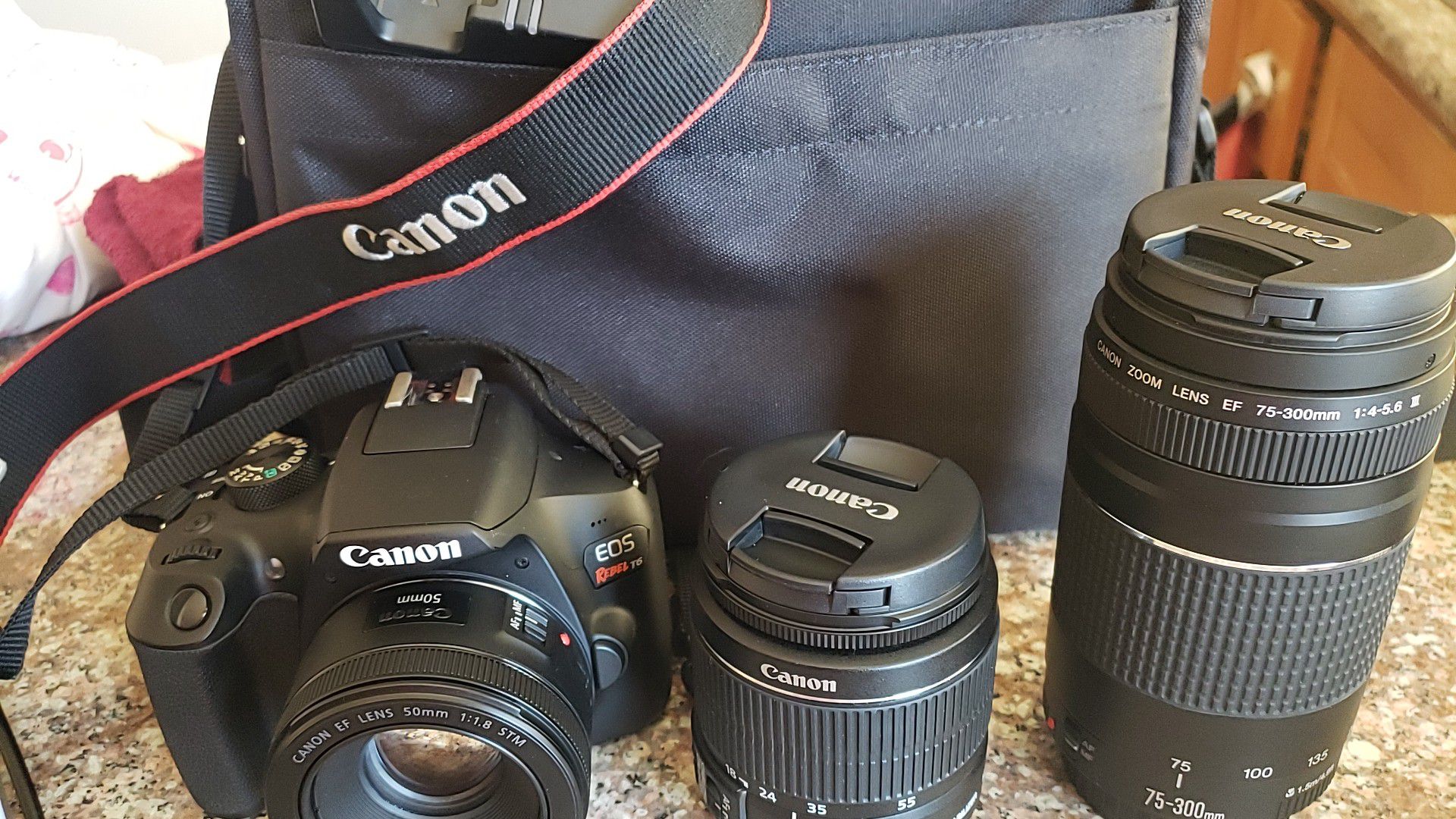 Canon EOS rebel T6 (w/bag, charger, battery, lens: 18-55mm & 75-300mm)