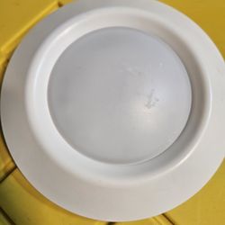 Covered Ceiling Mount 7"  35 Pieces 