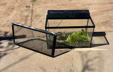 reptile tank or fish tank everything $20