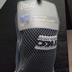 Everlast Boxing Pro Style Training Gloves 14oz