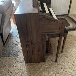 Organ 