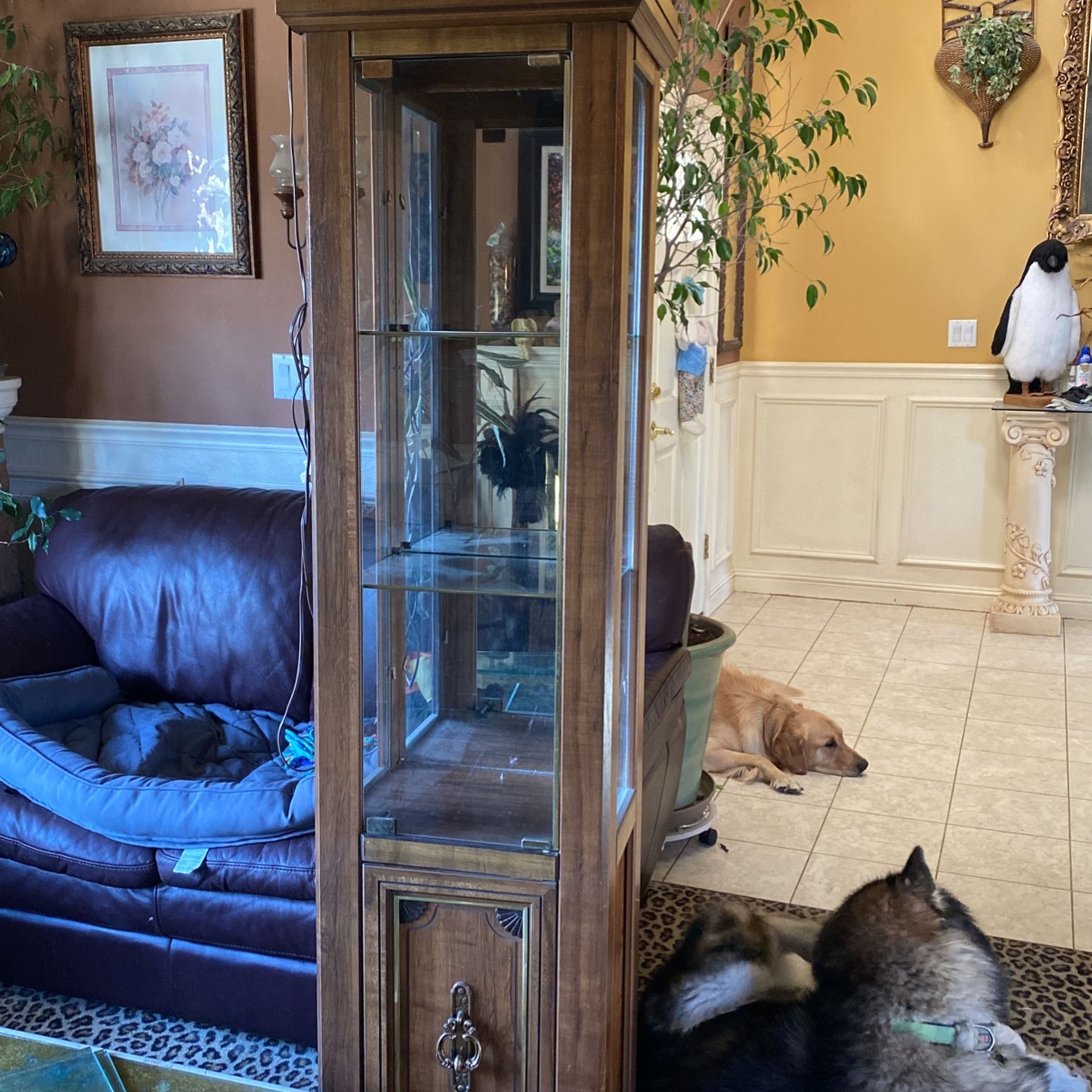 Free Small China Cabinet Or Display Cabinet With Light