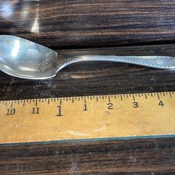 Community Silver Plate Serving Spoon