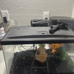 10 Gallon Aquarium Kit
