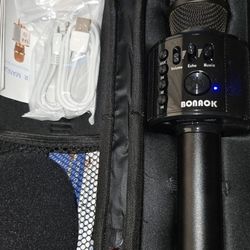 Karaoke Microphone 