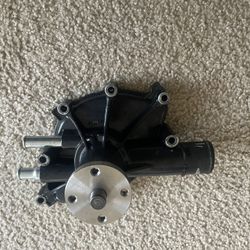 Ford 302/289 March Performance Water pump 