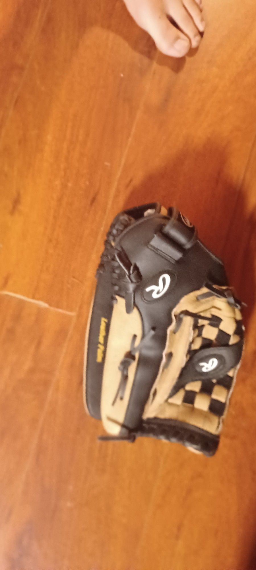 Baseball Glove