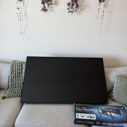 55” VIZIO TV w/mount