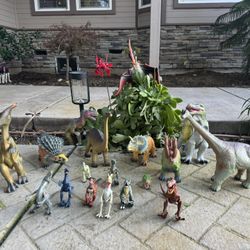 Kids Dinosaurs 19 In All. 