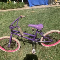 Girl’s 20” Bicycle.    Looks Good But Will Need Tires
