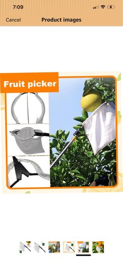 Fruit Picker with Harvest Bag