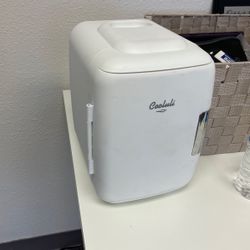 Mini Fridge  And Food Warmer 