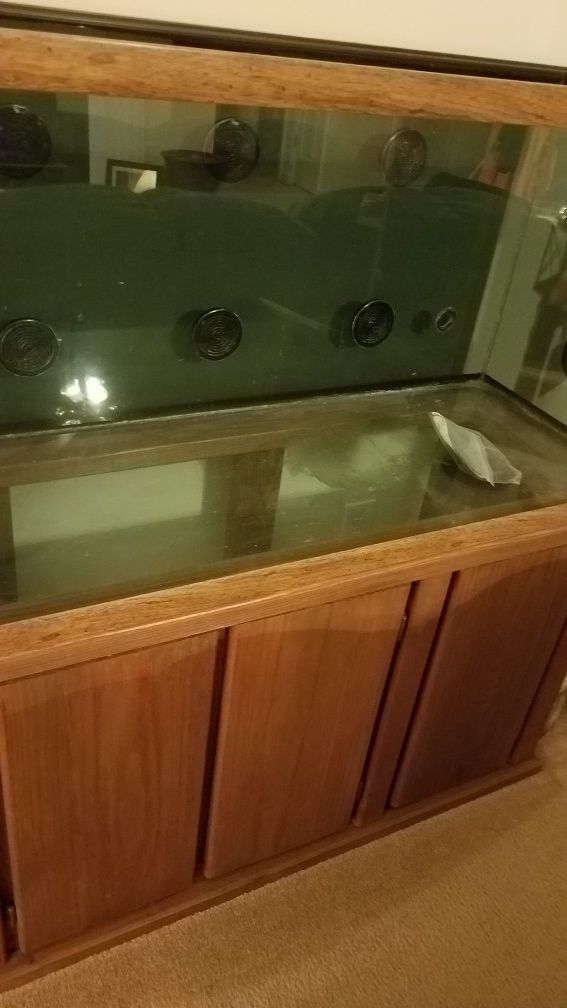 110 gal. fish/reptile tank with wood stand